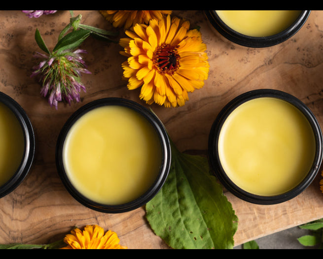 Herbal Infused Healing Salve with Imprinted Healing Frequencies